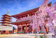 Du lịch Tokyo Nhật Bản có gì đặc biệt?
