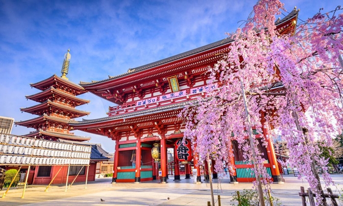 Du lịch Tokyo Nhật Bản có gì đặc biệt?