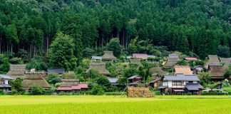 Những lí do du khách kết đậm du lịch nông thôn Nhật Bản
