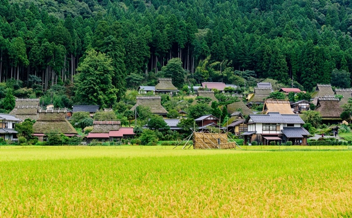 Những lí do du khách kết đậm du lịch nông thôn Nhật Bản