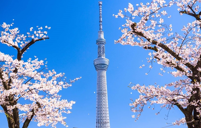 Tháp Tokyo là biểu tượng của Nhật Bản