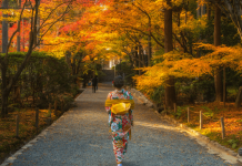 Du lịch mùa thu Nhật Bản để chiêm ngưỡng những cảnh sắc đẹp đến nao lòng!