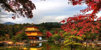 Ghé thăm những điểm đến Nhật Bản ngay vì du lịch xứ sở hoa anh đào đã sẵn sàng đón tiếp khách quốc tế rồi bạn nhé