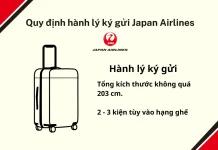 Hành lý ký gửi Japan Airlines