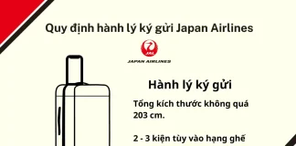 Hành lý ký gửi Japan Airlines