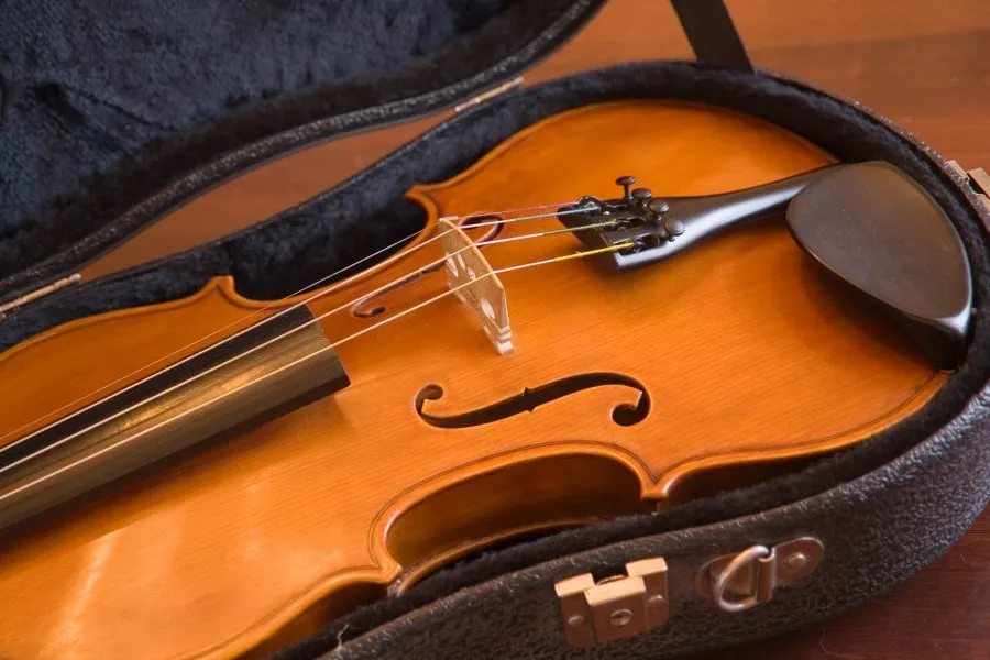 Violin có thể được mang lên khoang hành khách