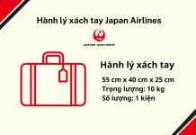 Hành lý xách tay Japan Airlines