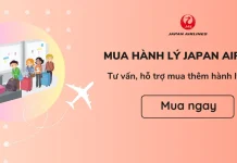 Mua thêm hành lý Japan Airlines