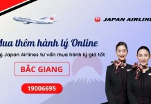 Mua thêm hành lý Japan Airlines tại Bắc Giang