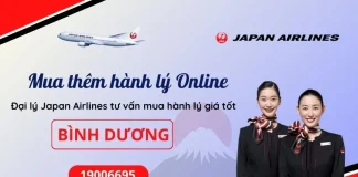 Mua thêm hành lý Japan Airlines tại Bình Dương
