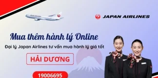 Mua thêm hành lý Japan Airlines tại Hải Dương