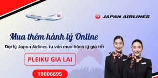 Mua thêm hành lý Japan Airlines tại Pleiku Gia Lai