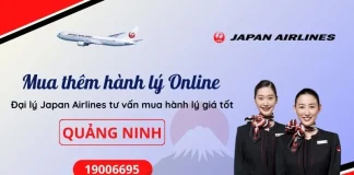 Mua thêm hành lý Japan Airlines tại Quảng Ninh