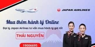 Mua thêm hành lý Japan Airlines tại Thái Nguyên