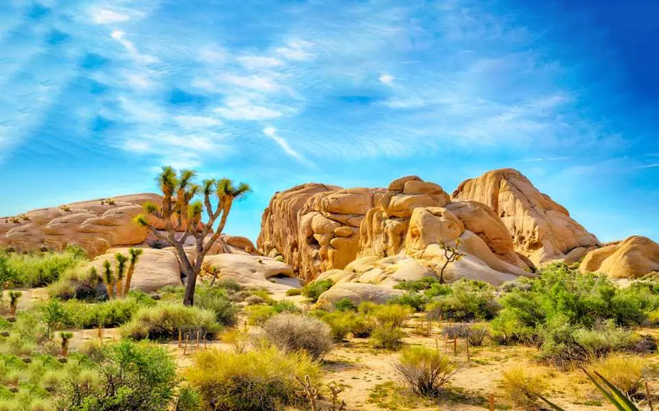 Công Viên Quốc Gia Joshua Tree