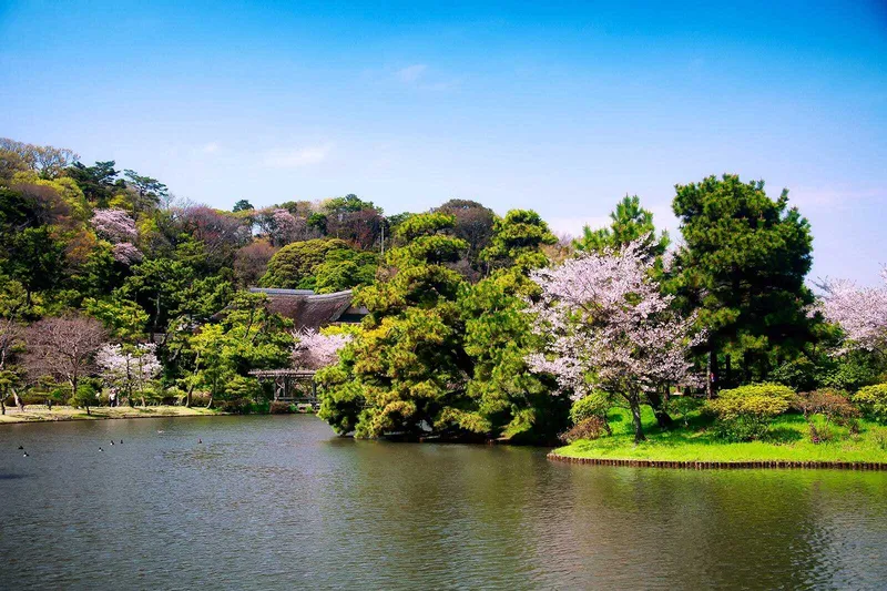 Điểm tham quan văn hóa tại Yokohama