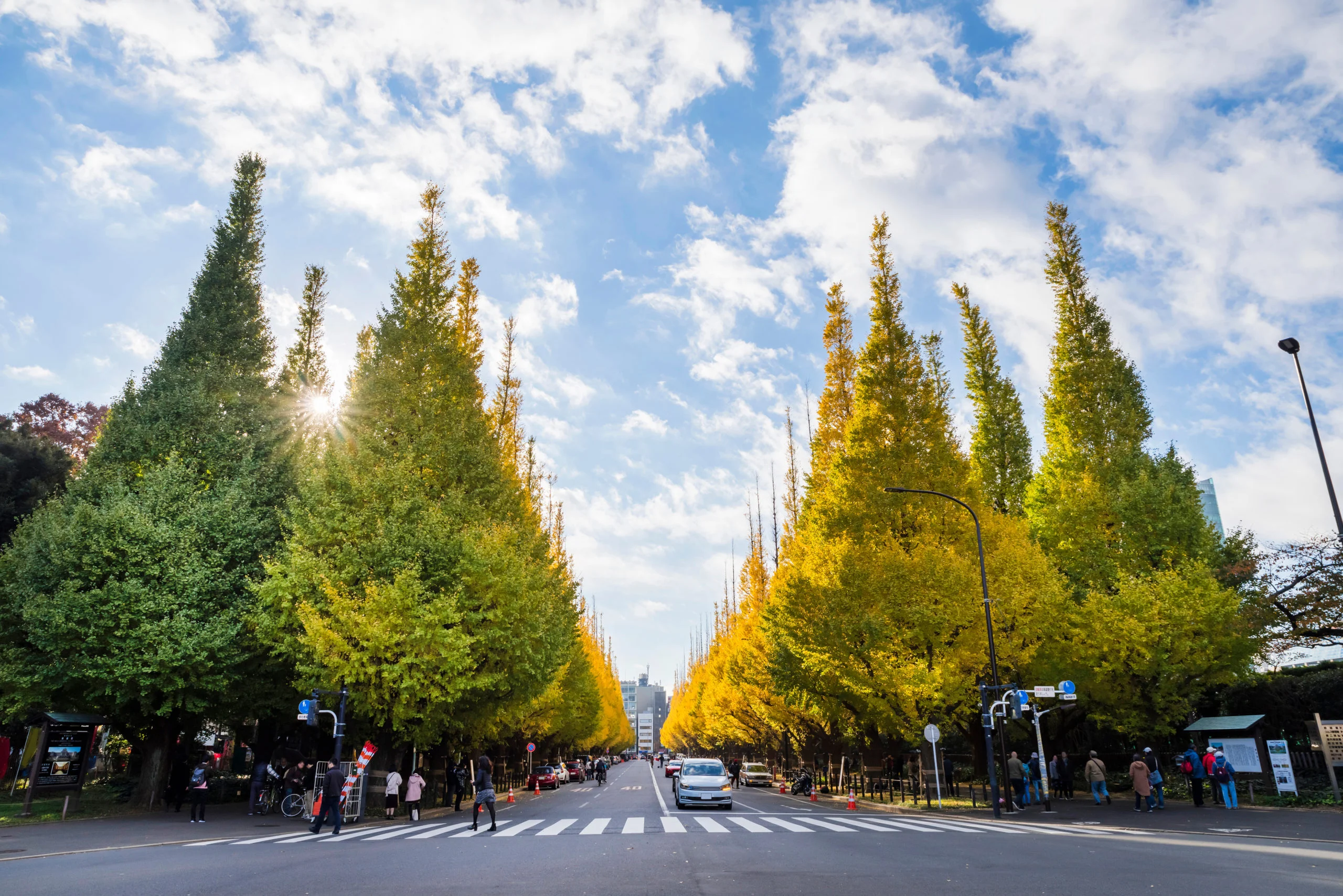 Đường phố Tokyo vào giữa thu