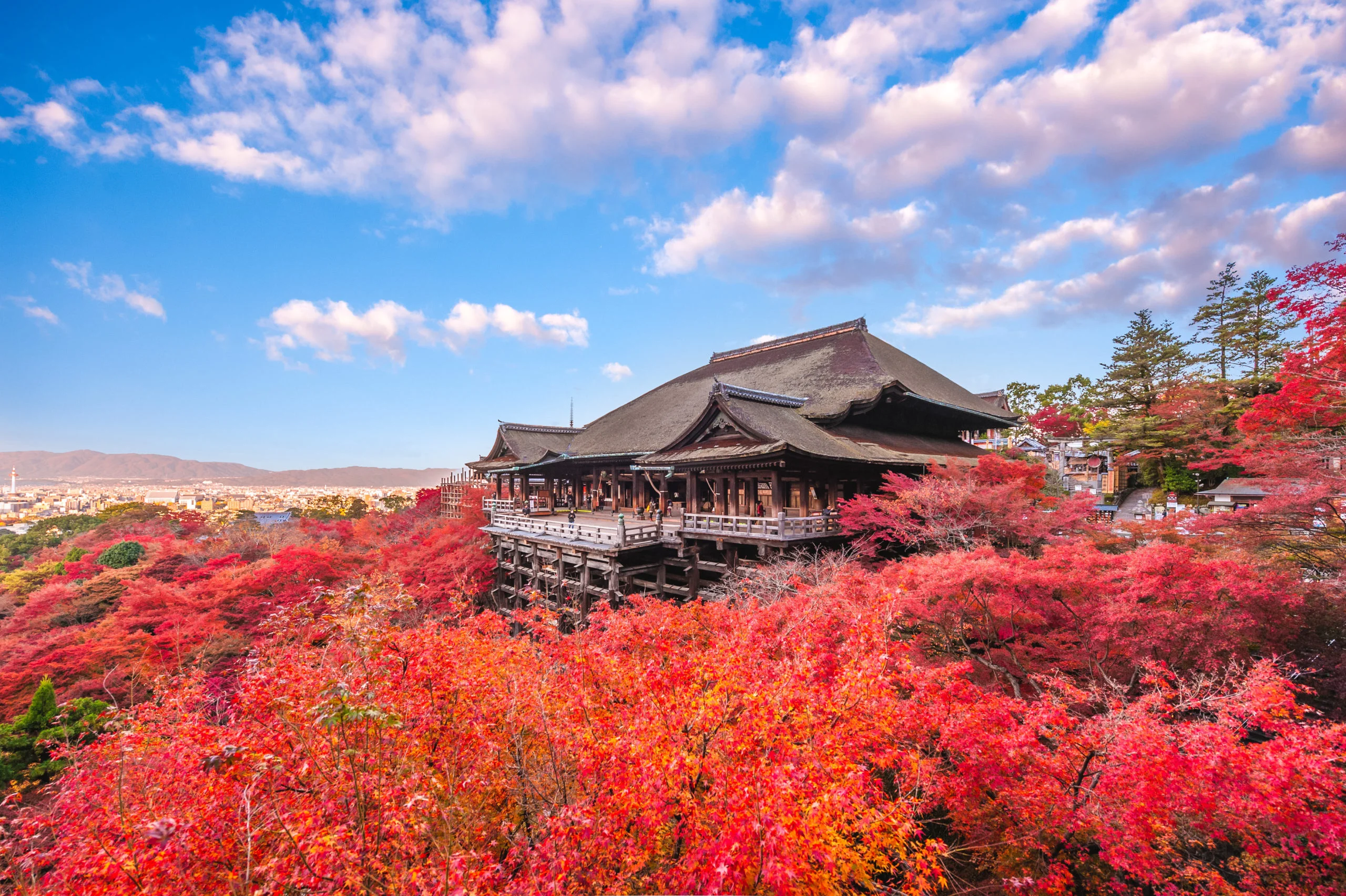 Mùa thu ở một ngôi đền Kyoto