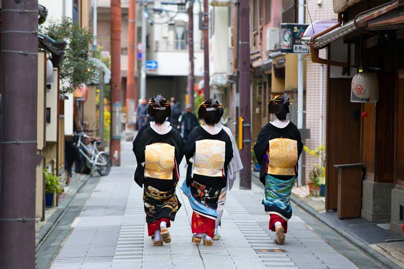 Hình ảnh các geisha và maiko